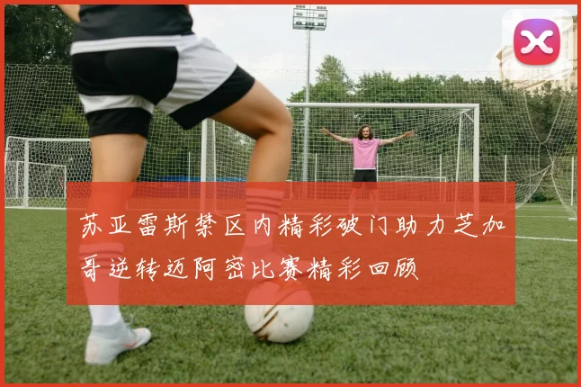 苏亚雷斯禁区内精彩破门助力芝加哥逆转迈阿密比赛精彩回顾