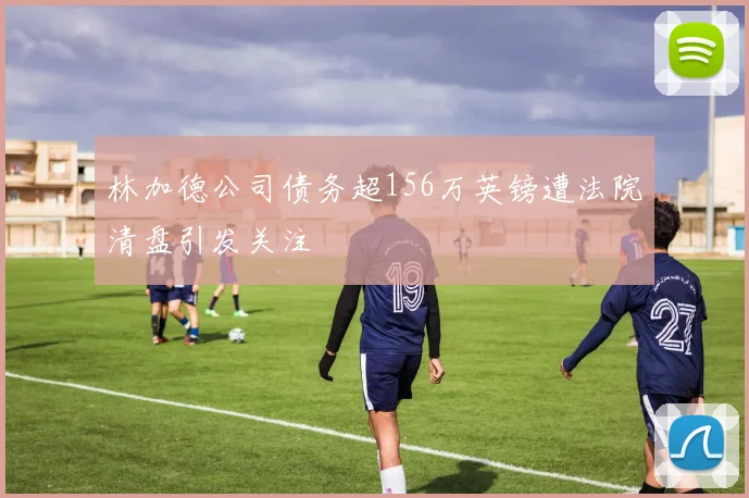 林加德公司债务超156万英镑遭法院清盘引发关注
