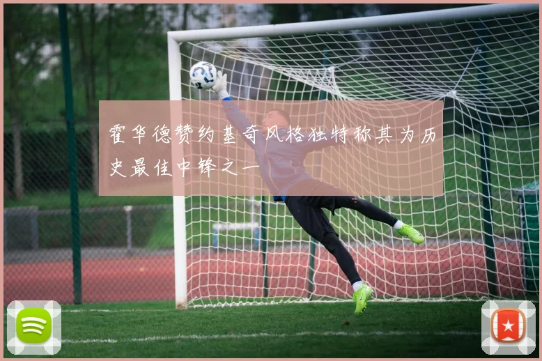 霍华德赞约基奇风格独特称其为历史最佳中锋之一