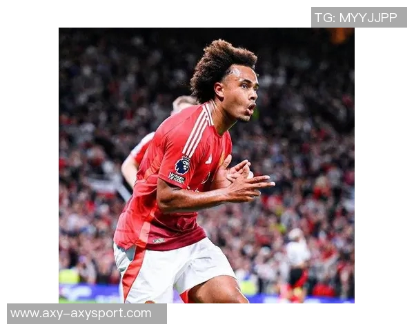 意媒报道囧叔希望引进强力中锋大菲尔莱万齐尔克泽成热门人选 意媒报道囧叔希望引进强力中锋大菲尔莱万齐尔克泽成热门人选