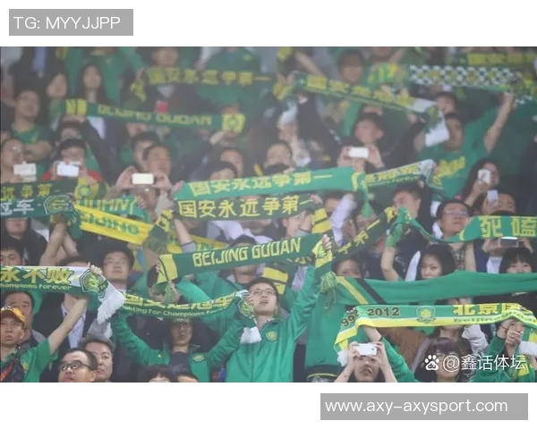 国安本赛季回顾：中超第4名亚冠小组赛止步足协杯决赛即将来临