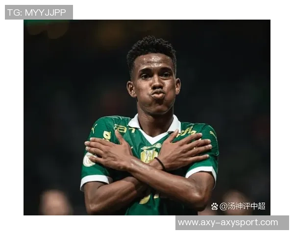 巴甲球员身价排行榜揭晓罗克以3500万欧元领跑拉扬紧随其后 巴甲球员身价排行榜揭晓罗克以3500万欧元领跑拉扬紧随其后